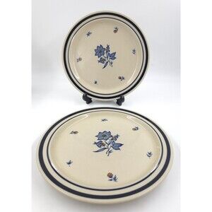 2 Newcor Stoneware Dinner Plates 10.5 " Versailles Floral Pattern Cottage Core